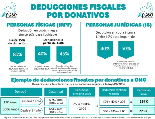 Beneficios Tributarios para Empresas: Contribuir a Organizaciones sin Fines de Lucro